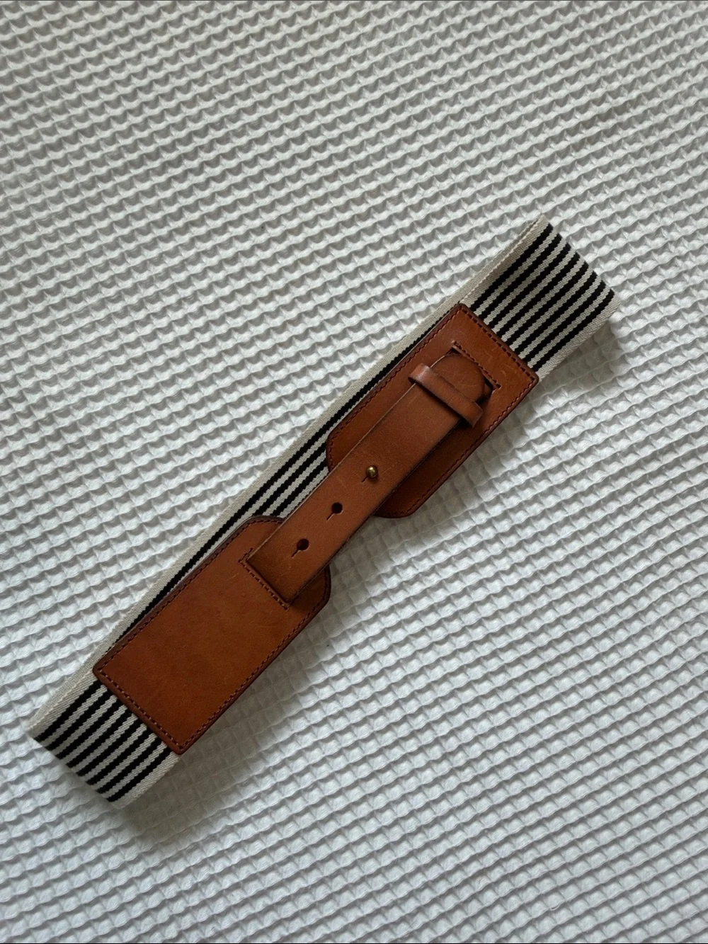 Fossil belt brown